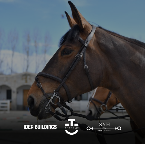 SYH Sport Horses x CT Academy Training Camp Bulgaria 2024: Преживяване, което оставя траен отпечатък!
